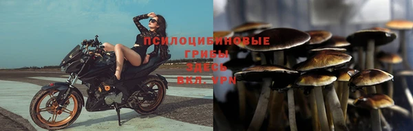 гашиш Абаза