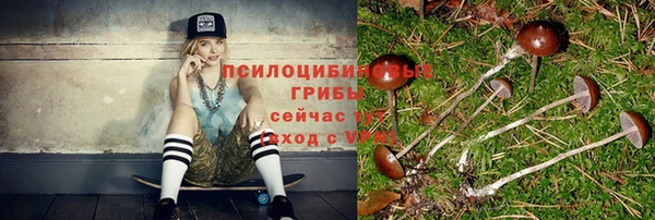 ECSTASY Абинск