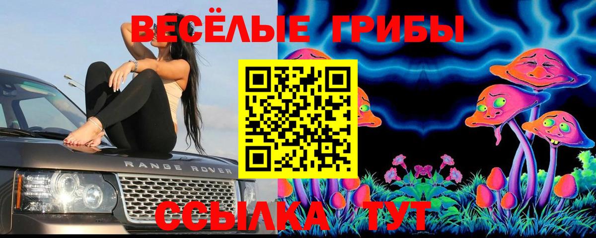 Галлюциногенные грибы Magic Shrooms Новоалтайск