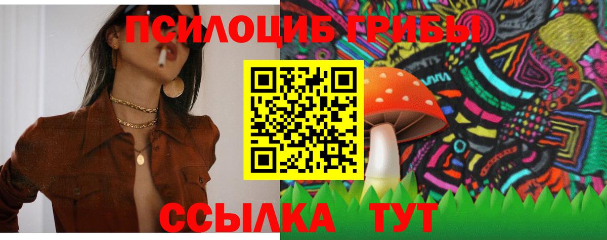 Новоалтайск  Галлюциногенные грибы Psilocybine cubensis  где продают наркотики  Вход с VPN 