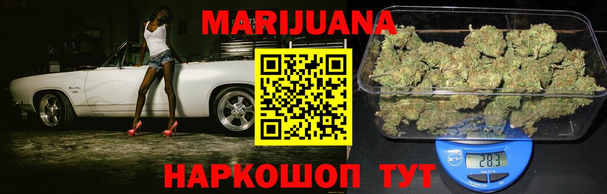 Каннабис сатива Новоалтайск